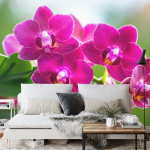 Papier Peint Garçon Herbes Nature – Image 3