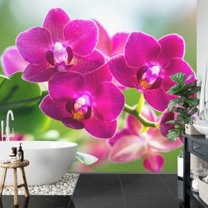 Papier Peint Garçon Herbes Nature – Image 5