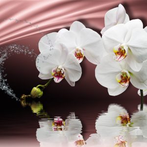 Papier Peint White Boy Herbes – Image 1