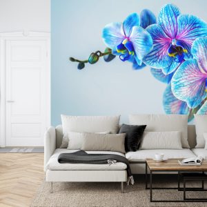 Papier Peint Orchidée Colorée – Image 6