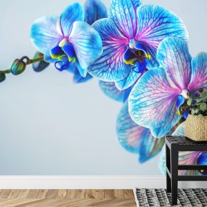 Papier Peint Orchidée Colorée – Image 7