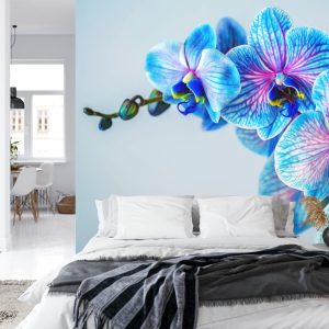 Papier Peint Orchidée Colorée – Image 8