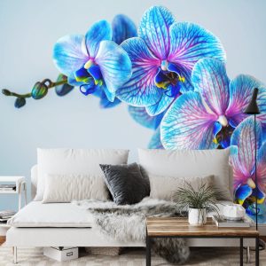 Papier Peint Orchidée Colorée – Image 3