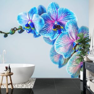 Papier Peint Orchidée Colorée – Image 5