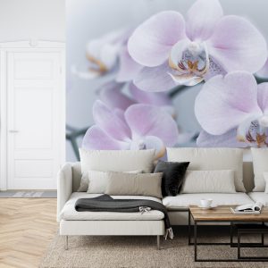 Papier Peint Herbes De Beau Garçon – Image 6