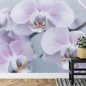 Papier Peint Herbes De Beau Garçon – Image 7