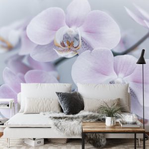 Papier Peint Herbes De Beau Garçon – Image 3