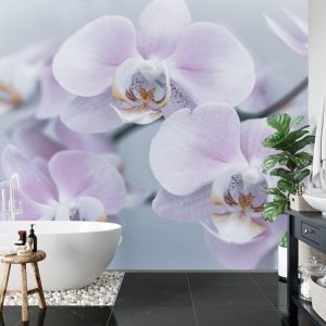 Papier Peint Herbes De Beau Garçon – Image 5