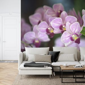 Papier Peint Belles Orchidées – Image 6