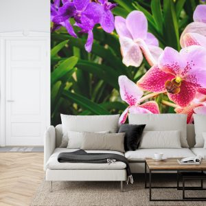 Papier Peint Orchidées Colorées 3D – Image 6