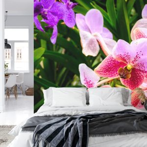 Papier Peint Orchidées Colorées 3D – Image 8