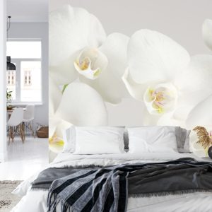 Papier Peint Beau Chou Blanc – Image 8