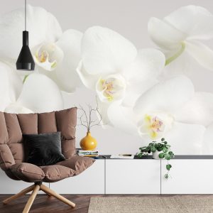 Papier Peint Beau Chou Blanc – Image 4