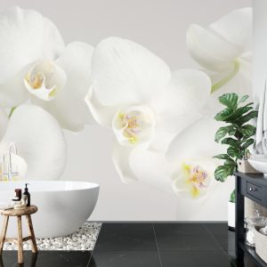 Papier Peint Beau Chou Blanc – Image 5