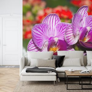 Papier Peint Optique Orchidée 3D – Image 6