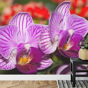 Papier Peint Optique Orchidée 3D – Image 7