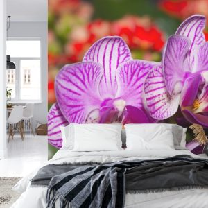 Papier Peint Optique Orchidée 3D – Image 8