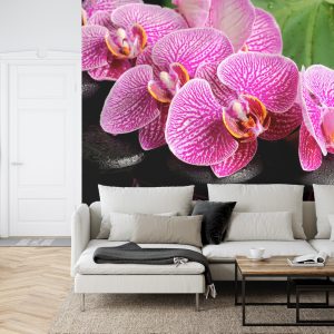 Papier Peint Spa Aux Orchidées – Image 6
