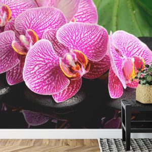 Papier Peint Spa Aux Orchidées – Image 7