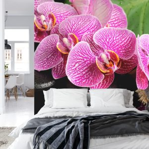 Papier Peint Spa Aux Orchidées – Image 8