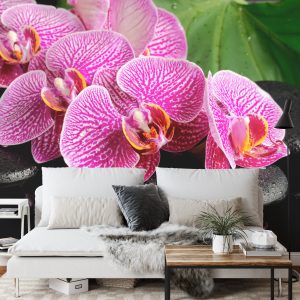 Papier Peint Spa Aux Orchidées – Image 3