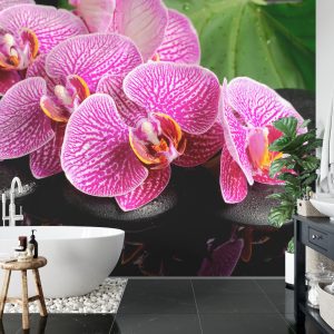 Papier Peint Spa Aux Orchidées – Image 5