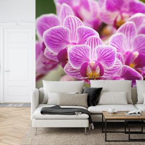 Papier Peint Bouquet D'orchidées – Image 6
