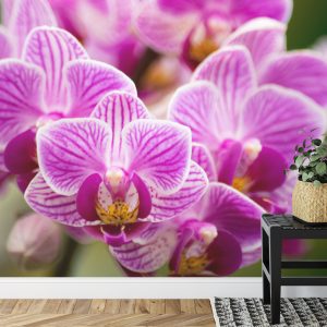 Papier Peint Bouquet D'orchidées – Image 7