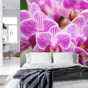 Papier Peint Bouquet D'orchidées – Image 8