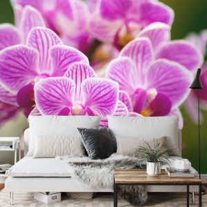 Papier Peint Bouquet D'orchidées – Image 3