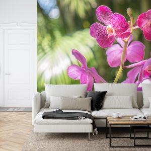 Papier Peint Belles Orchidées – Image 6