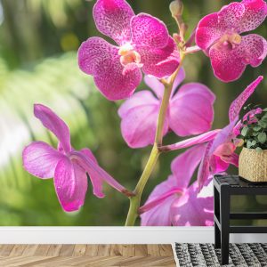 Papier Peint Belles Orchidées – Image 7