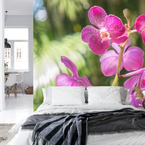 Papier Peint Belles Orchidées – Image 8