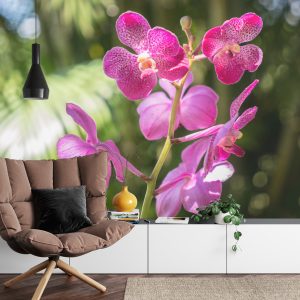 Papier Peint Belles Orchidées – Image 4