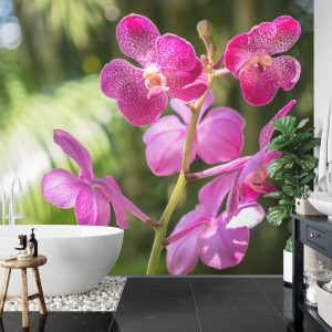 Papier Peint Belles Orchidées – Image 5