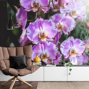 Papier Peint Belles Orchidées – Image 4