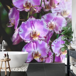 Papier Peint Belles Orchidées – Image 5