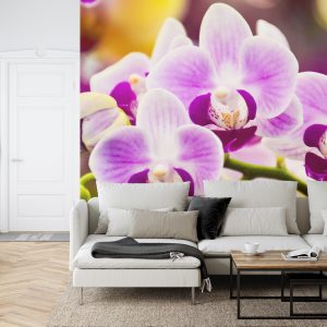 Papier Peint Orchidée Tropicale – Image 6