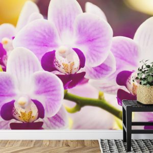 Papier Peint Orchidée Tropicale – Image 7