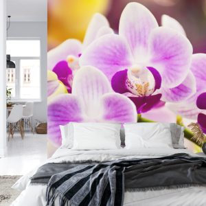 Papier Peint Orchidée Tropicale – Image 8