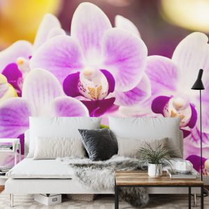 Papier Peint Orchidée Tropicale – Image 3