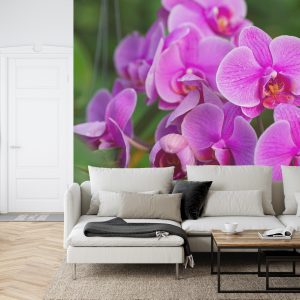 Papier Peint Fleurs D'orchidée 3D – Image 6