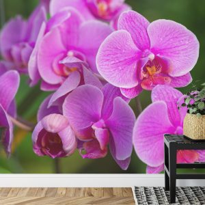Papier Peint Fleurs D'orchidée 3D – Image 7