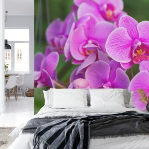 Papier Peint Fleurs D'orchidée 3D – Image 8