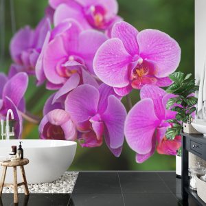 Papier Peint Fleurs D'orchidée 3D – Image 5