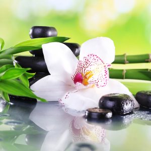 Papier Peint Belle Orchidée Spa – Image 1