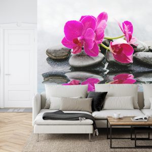 Papier Peint Magnifique Bébé Chou Spa – Image 6