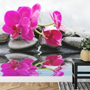 Papier Peint Magnifique Bébé Chou Spa – Image 7