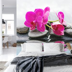 Papier Peint Magnifique Bébé Chou Spa – Image 8