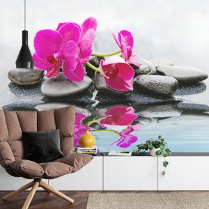 Papier Peint Magnifique Bébé Chou Spa – Image 4